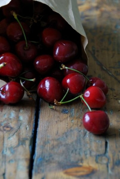 5253f373eeb75fe2234bb05ac046571e